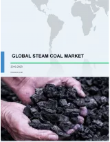 Steam Coal Market 2019-2023